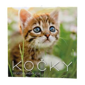 Kalendář nástěnný poznámkový - Kočky / BNL1