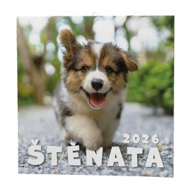 Kalendář nástěnný poznámkový - Štěňata / BNL2