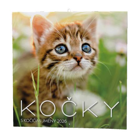 Kalendář nástěnný poznámkový - Kočky / BNL1