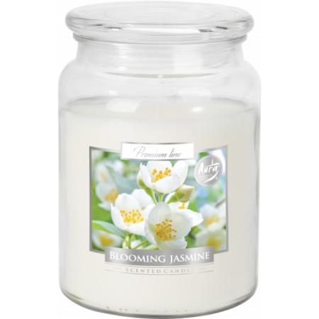 Vonná svíčka v dóze Maxi - Blooming jasmine
