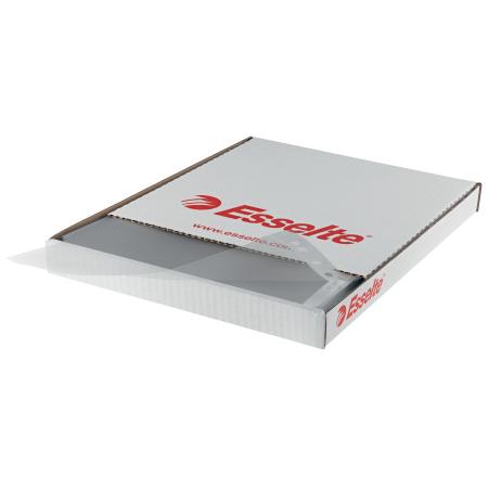 Závěsný obal Esselte Standard  - A4 čirý/ 55 my / 100ks